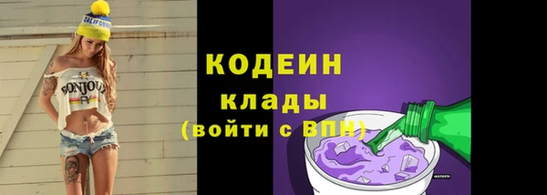 индика Верея